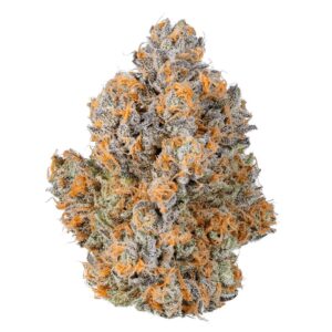 Purple Champagne | 3.5 Strain | HighMark Provisions