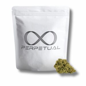 Runtz Carlton #1 | 3.5g Strain | PERPETUAL