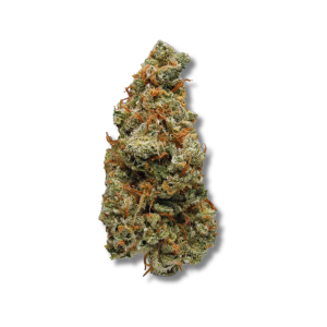 Lemon Haze - Cold Cured | 3.5g Strain | Trifecta Farms