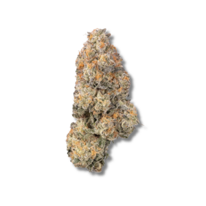 Lobzter | 3.5g Strain | Bostica