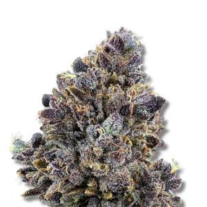 Melted Marshmallowz - Cold Cured | 3.5g Strain | Trifecta Farms