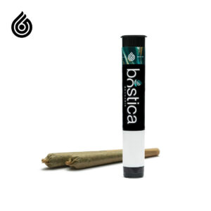 Gelato 33 - 2pk - Pre Roll - 1g