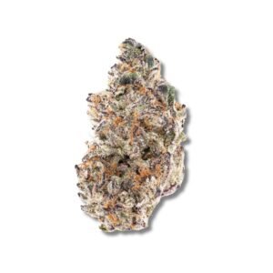 Raspberry Gelato | PRE GROUND | 7g