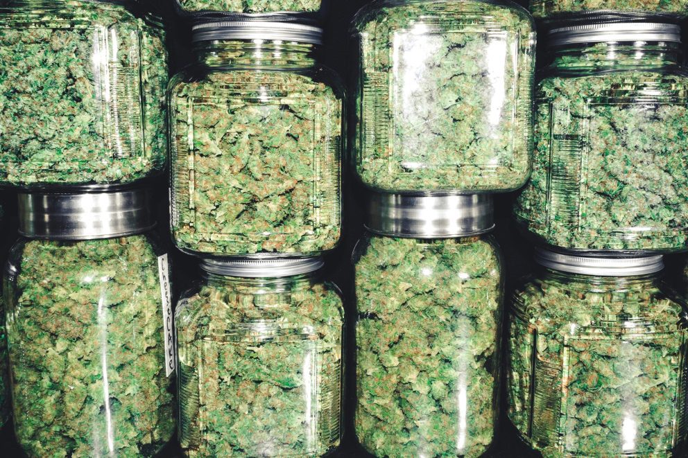 cannabis flower in jars