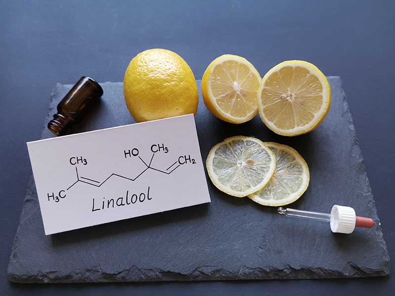 linalool terpene