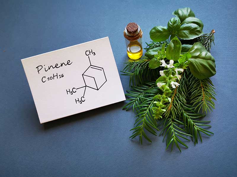 Pinene terpene