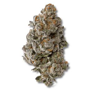 Tripple Scoop | 3.5g Strain | PERPETUAL