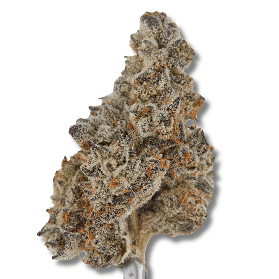 black ice | 3.5g strain | highmark provisions | rolling releaf Black Ice | 3.5g Strain | HighMark Provisions