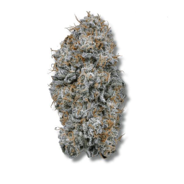 Lions Breath | 3.5g Strain | Cape Cod Grow Lab