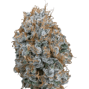 Sour Strawberry | Cold Cured | 3.5g Strain | Trifecta Farms