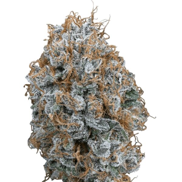 Sour Strawberry | Cold Cured | 3.5g Strain | Trifecta Farms