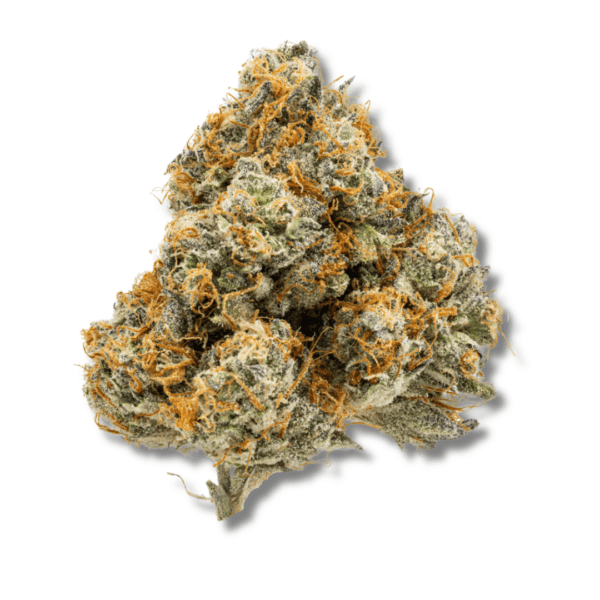 Zoap - 3.5g Strain | Cape Cod Grow Lab