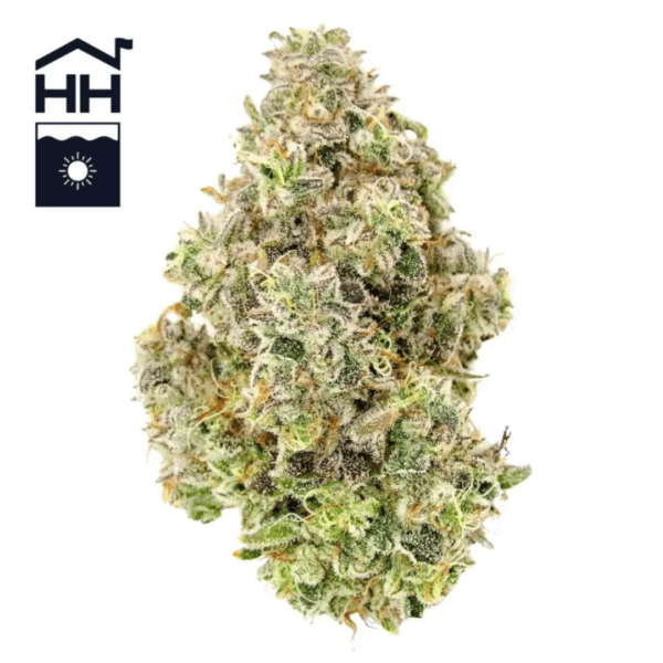 Albariño | 3.5g Strain | Harbor House Collective