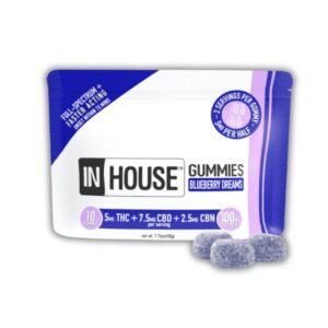Blueberry - Fast Acting - Vegan Sleep Gummy - THC:CBD:CBN - 300mg Strain | In House