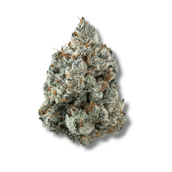 Gary Poppins | 3.5g Strain | PERPETUAL