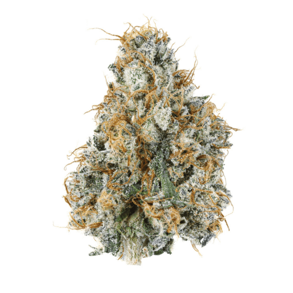 2090 | 3.5g Strain | PERPETUAL