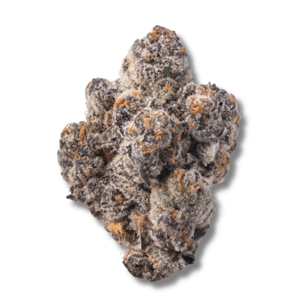 Blue Razzsicle | 28g Strain | Bostica