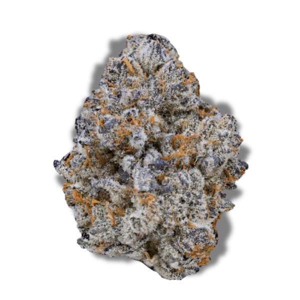 Blue Suede | 3.5 Strain | PERPETUAL