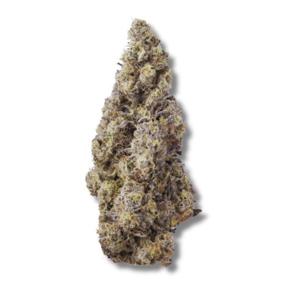 Gush Mints | 3.5g Strain | Commuter