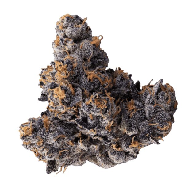 Jealousy | 3.5g Strain | Commuter