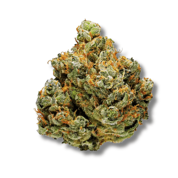 Jet Fuel G6 | 3.5g Strain | Bostica