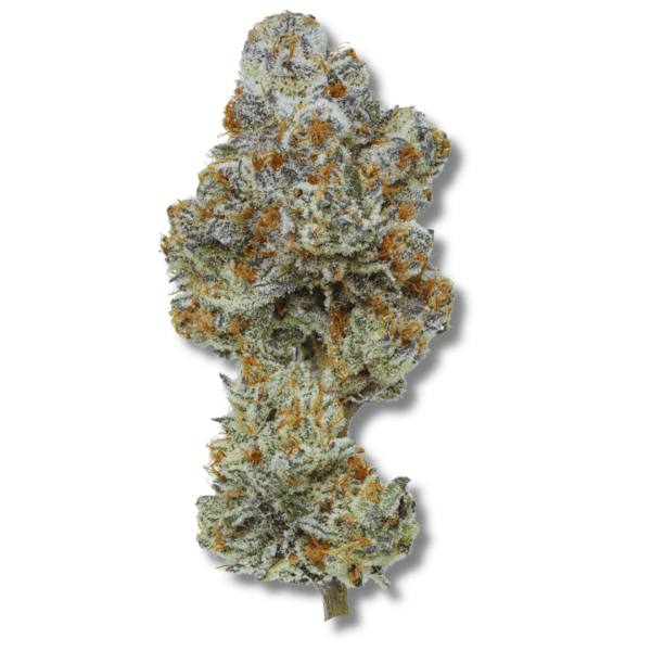 Pure Michigan | 28g Strain | PERPETUAL