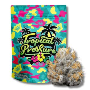 Tropical Pressure | 3.5g Strain | Your Highness