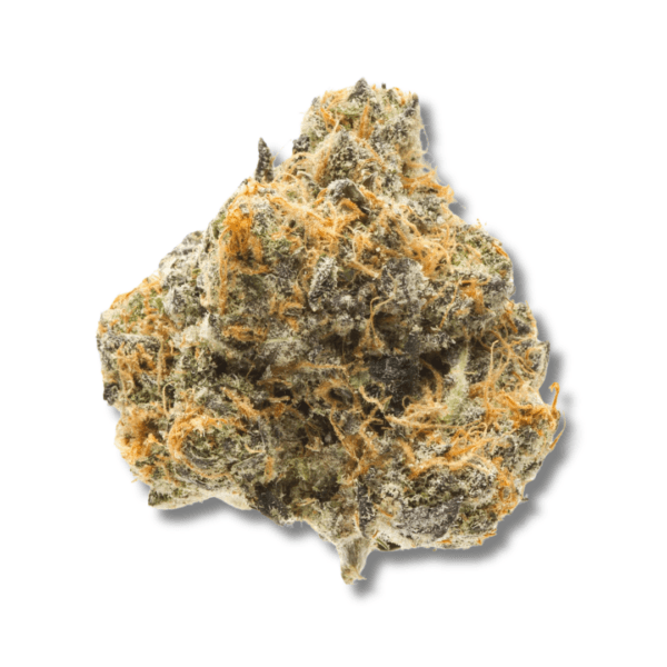 Blueberry Headband | 3.5g Strain | PERPETUAL