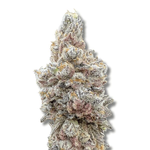 Dry Ice - Cold Cured | 3.5g Strain | Trifecta Farms