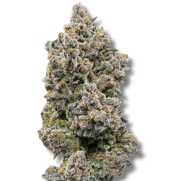 Fruit Pebblez - Cold Cured | 3.5g Strain | Trifecta Farms