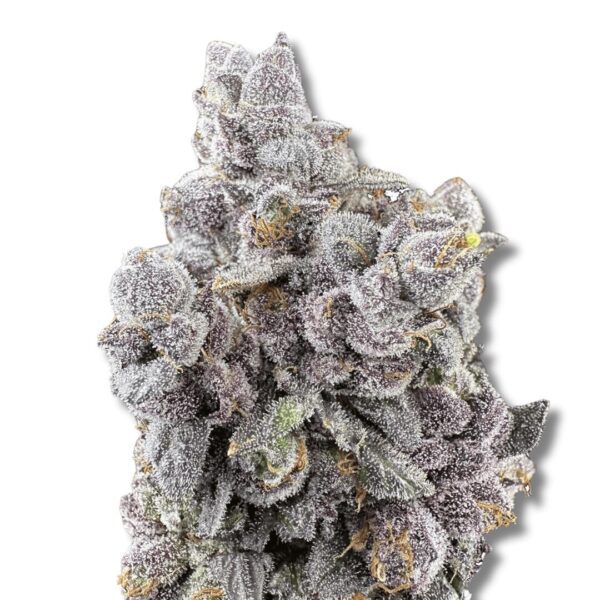 Garlic Sherbert x Twisted Ice Cream - Cold Cured | 3.5g Strain | Trifecta Farms