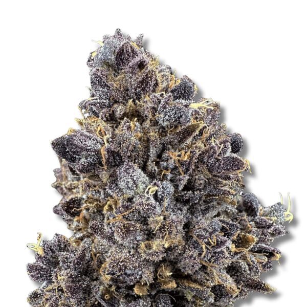 Lemon Cherry Sherbet - Cold Cured | 3.5g Strain | Trifecta Farms
