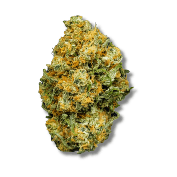 Lemon Zephyr | 3.5g Strain | Coastal Healing