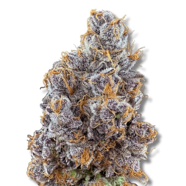Purple Parfait - Cold Cured | 3.5g Strain | Trifecta Farms