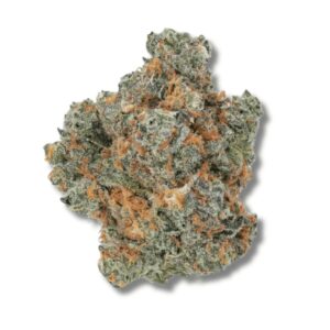 Rainbow Sherbet 11 | 28g Strain | PERPETUAL