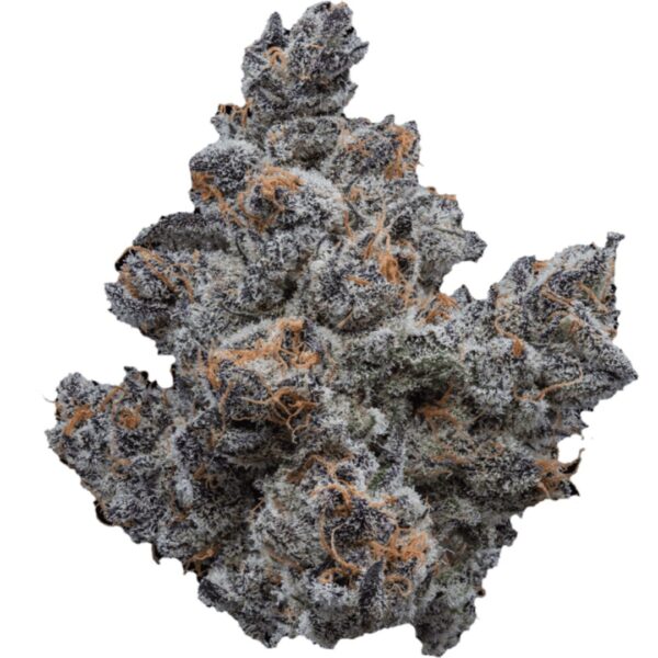 Cold Snap - Organic | 3.5g Strain | Tower Three