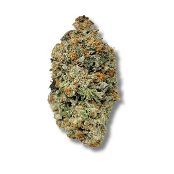 Grizzly Goo | 3.5g Strain | Cannalive Genetics