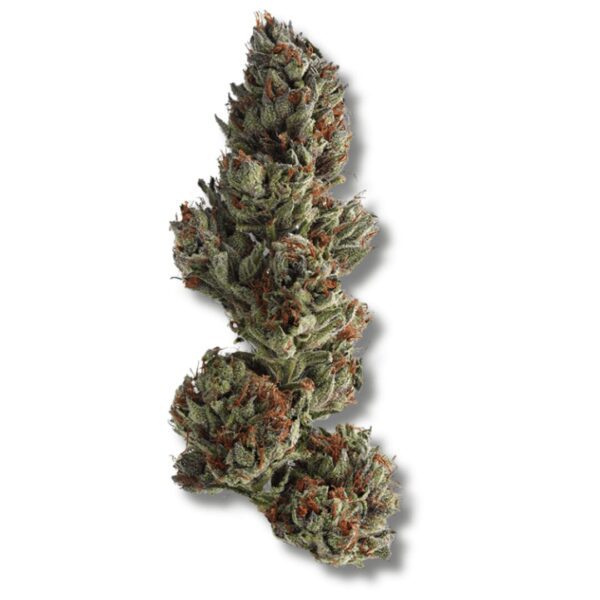 Runtz - 14g Strain | PERPETUAL