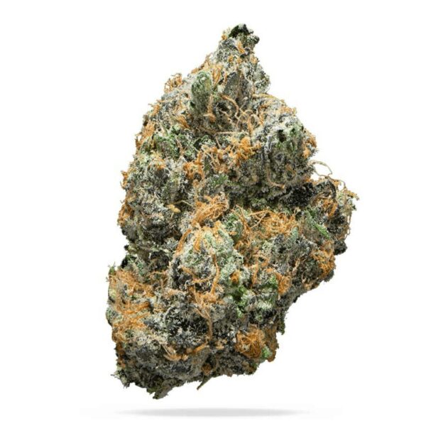 Tea Time - Organic | 3.5g Strain | Tower Three