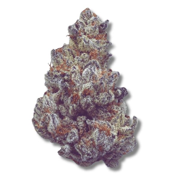Dante's Inferno | 3.5g Strain | Coastal Healing