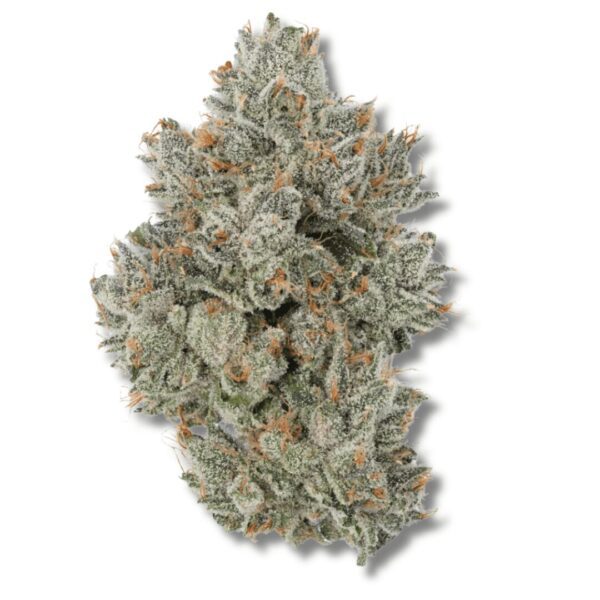 Watermelon Fuel - 28g Strain | Bostica