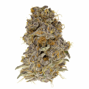 Dirty Banana | 14g Strain | PERPETUAL