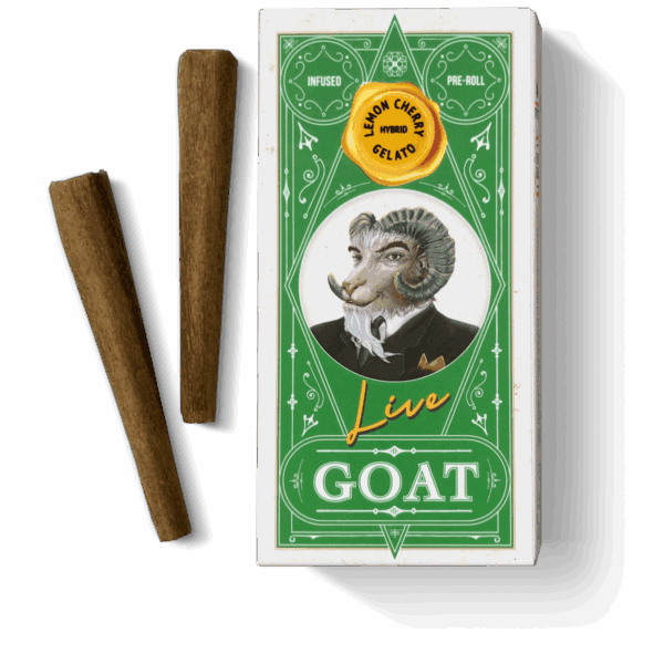 Lemon Cherry Gelato | INFUSED BLUNT | 2pk | 1.2g Strain | GOAT