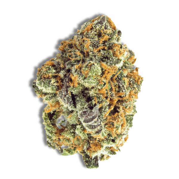 Mimosa | 3.5 Strain | Commuter