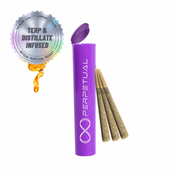 Acapulco Gold - Infused Pre Roll - 3pk Strain | PERPETUAL