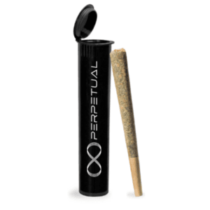 Bubblegum Marker - 0.5g Pre Roll Strain | PERPETUAL
