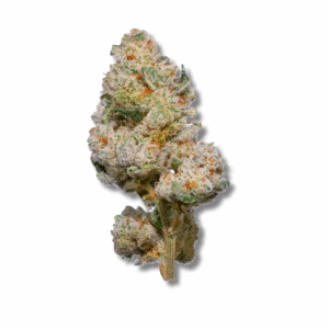 Dry Lightning | 3.5g Strain | PERPETUAL
