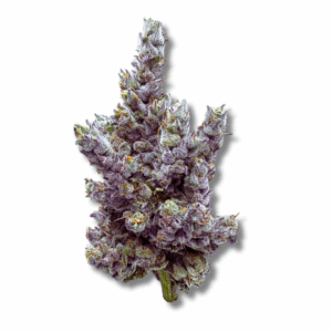 Glue Dream | Cold Cured | 3.5g Strain | Trifecta Farms