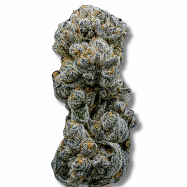 Grapes & Cream - Cold Cured - 3.5g Strain | Trifecta Farms