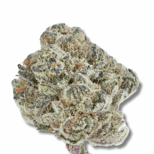 Mac Stomper - Cold Cured - 3.5 Strain | Trifecta Farms
